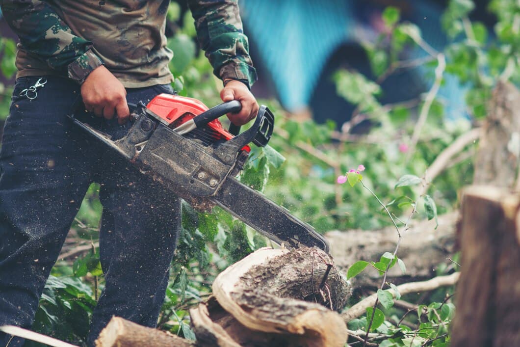 Tree Removal & the Environment