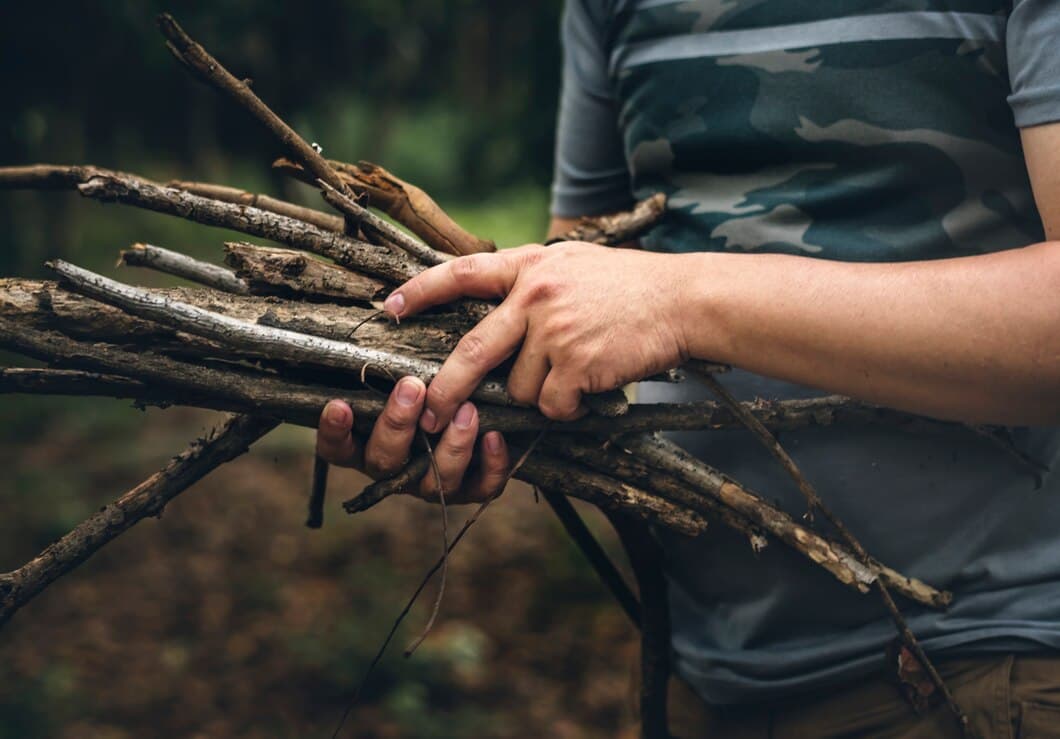 Boost Property Value with Tree Removal